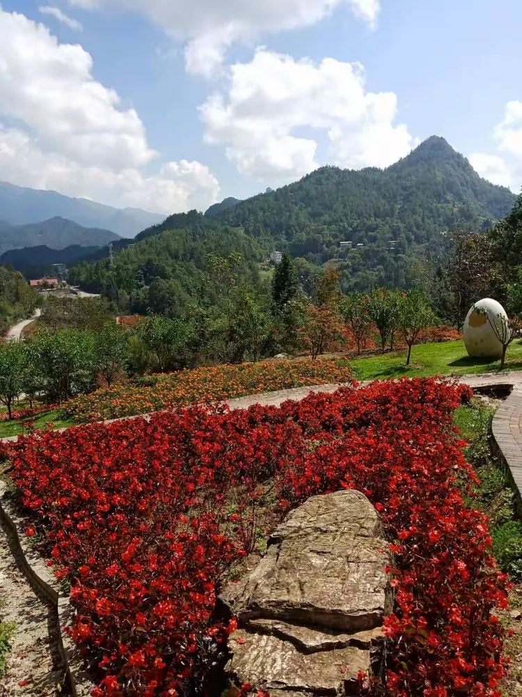 城口县的九重花岭,姹紫嫣红!值得一看!