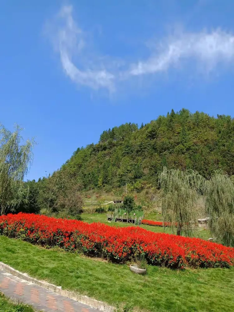 城口县的九重花岭,姹紫嫣红!值得一看!