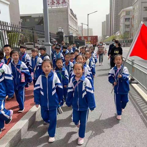赏国色牡丹   让花朵开满心间