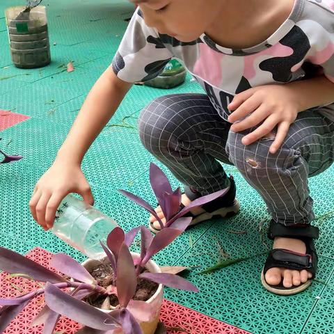 我们给植物除草、浇水、松土～