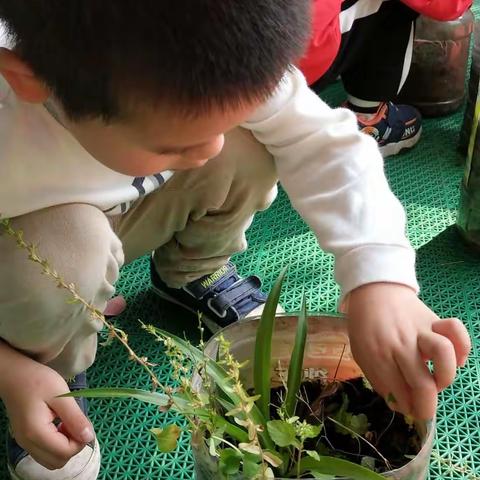 我给植物松松土，浇水，除草～