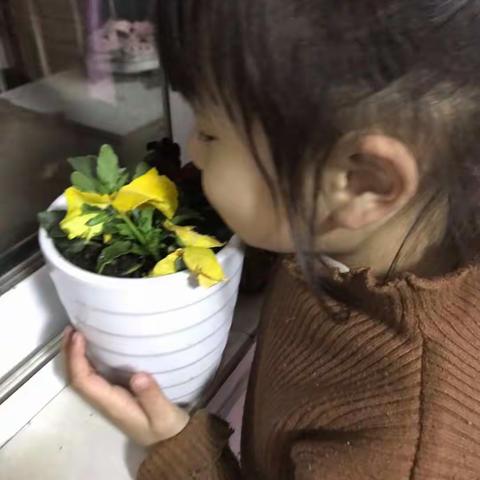 种植篇