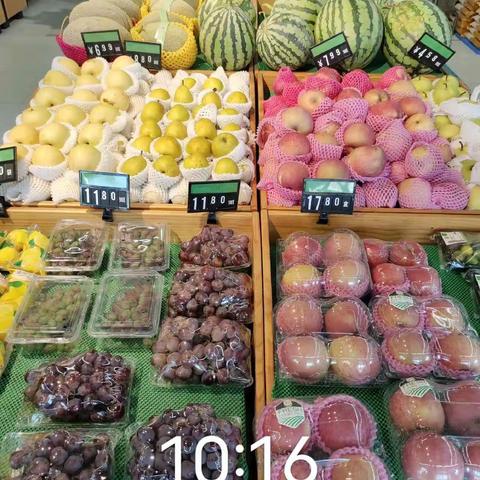 白玉山区域巡店小结（现代花园店）