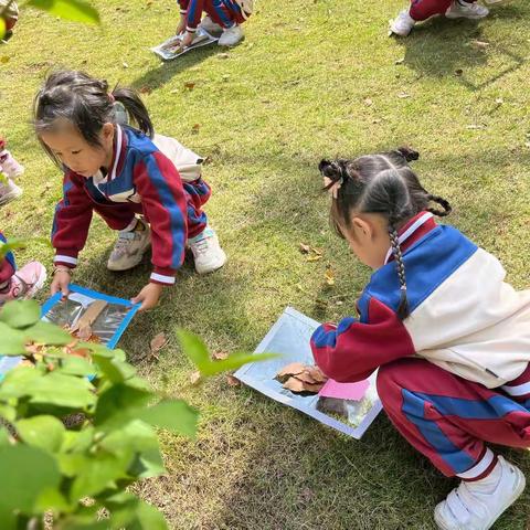 追寻秋天的脚步——博爱幼儿园秋游之旅