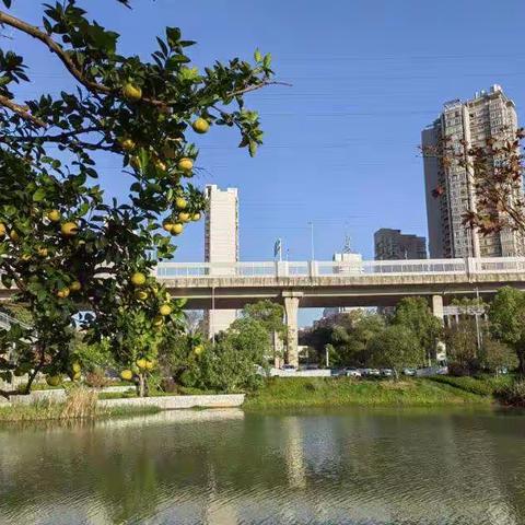 长沙美景之—月湖公园