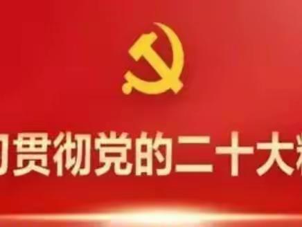 【学习宣传贯彻党的二十大精神】五幼故事·党建领航