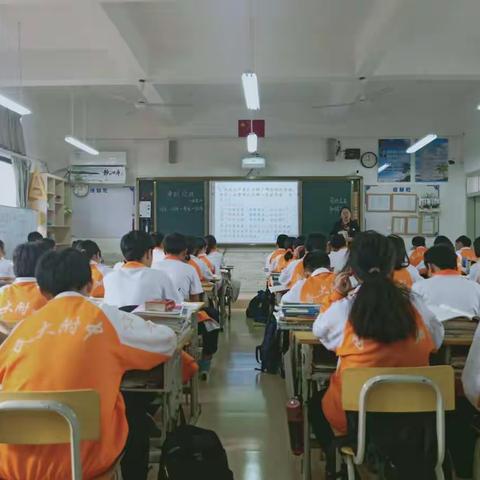 海南陵水之行(二)