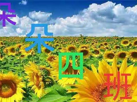 朝阳幼儿园朵朵四班，第三周的点滴记录😊😊