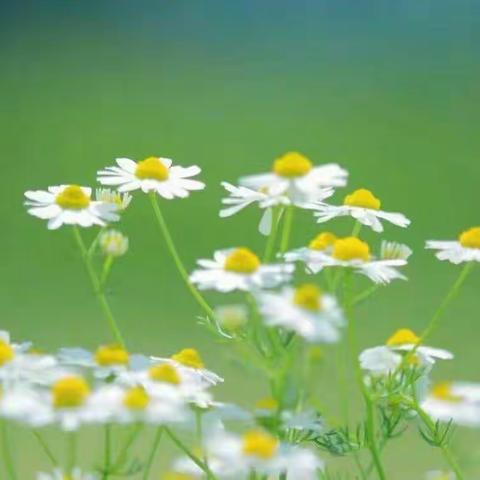 撒播希望的种子，期待明天的收获