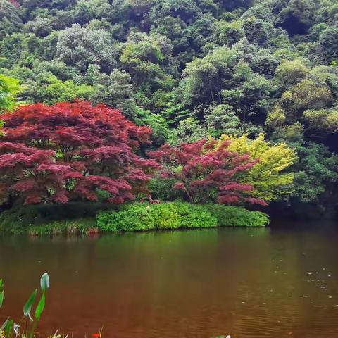 杭州九溪十八涧