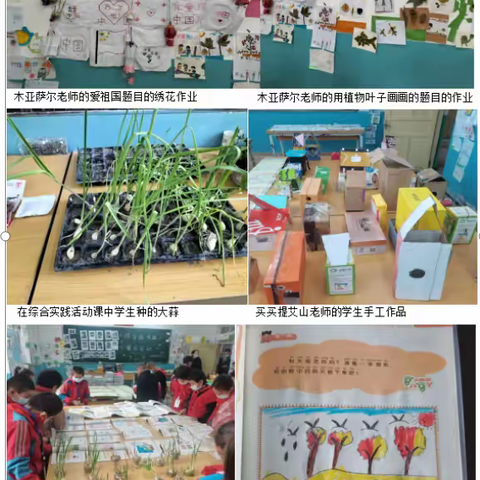 种羊场小学综合组学生作业展览活动