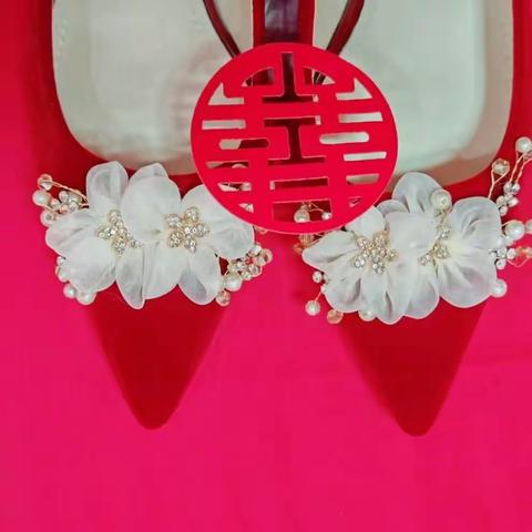 张晓鹏崔娇娇婚礼纪实