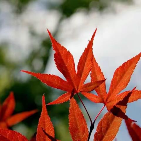 时尚宝贝和凌的美篇