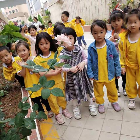 春暖花开，走进校园