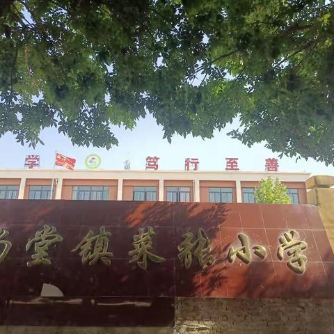 新起点，新方向，我们在阳光下成长——尚堂镇菜张小学“美丽校园”成长篇