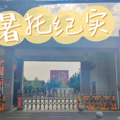 开心“暑”光，“托”出精彩一夏