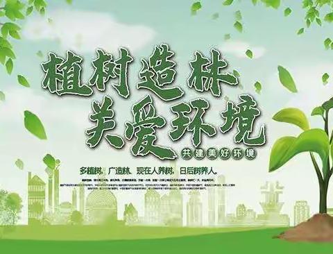 用党员先锋“红” 引领林业生态“绿”