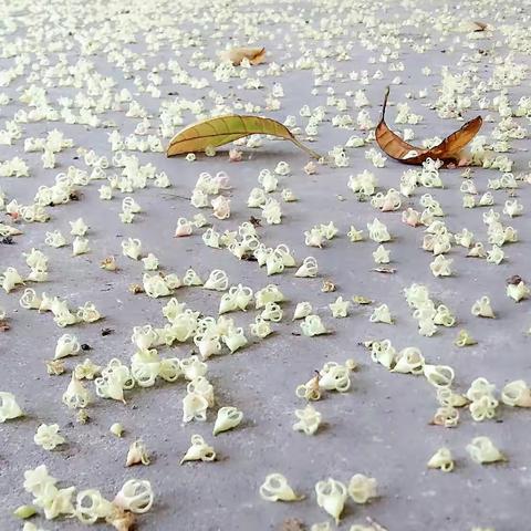一切随缘