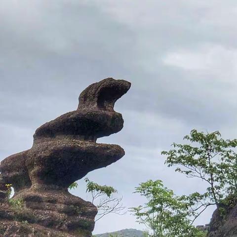 西南行，2021.5.23-6.5，摄影：孙运东 蔡铭，编辑：孙运东 蔡铭