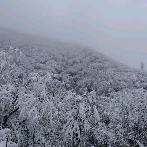 2023年的第一场雪