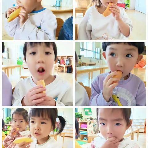 小小背影，大大能量。不慌不忙，慢慢长大🌻