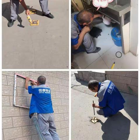 金鼎佳苑项目六月第四周工作简报