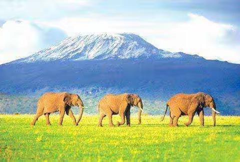 发奖啦！发奖啦！