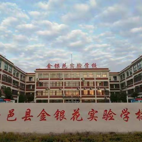 青年教师展风采，三尺讲台绽光芒——平邑县金银花实验学校一数组青年教师展