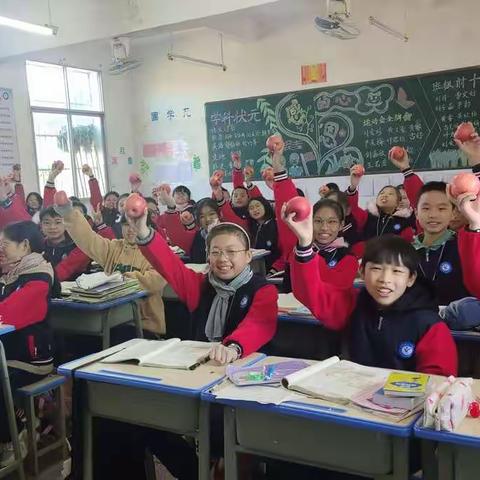 冬日暖阳      四星绽放