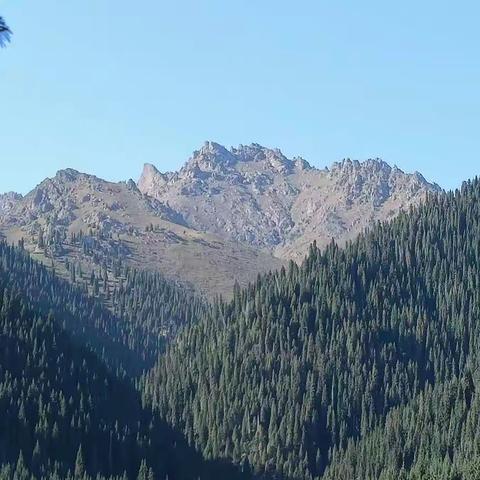 再出发，登顶南山第二高峰，邂逅新疆天山雪莲。