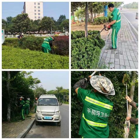 【平阴】县环卫绿化管护中心——城市养护忙