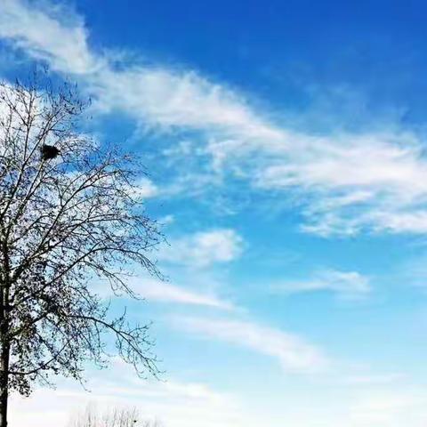 阳光正好，微风不燥，让我们一起启程——航南中心校“新芽”教育教学业务研讨会