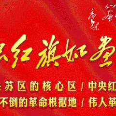 县纪委到龙津镇开展《中华人民共和国公职人员政务处分法》宣讲活动
