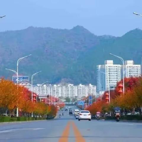教学散记（四）深秋遇见自己