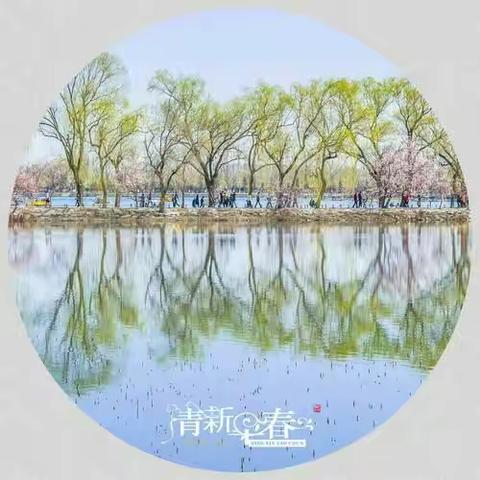 深泽诗联协会同题诗词第136期～嵌句～春回大地正徘徊