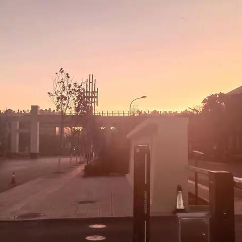 贺新春  履职尽责，接续奋斗2023