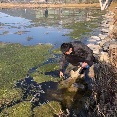 共建绿水青山，农发中心在行动