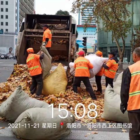 及时清理落叶 确保城区整洁