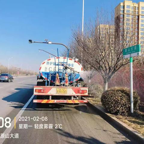 淄博张店区北控园林绿化项目工作日报