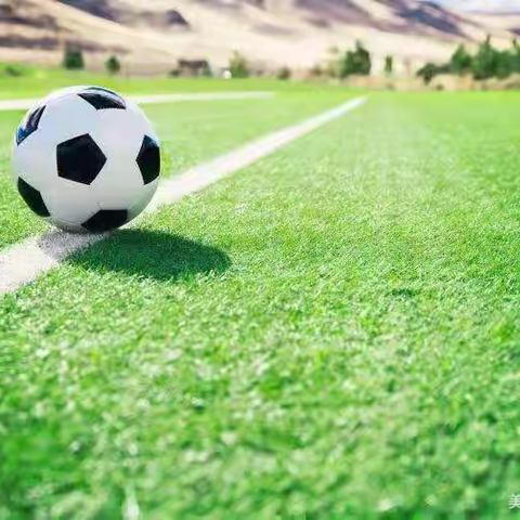 小足球⚽大梦想——苹果树幼儿园大班第十周