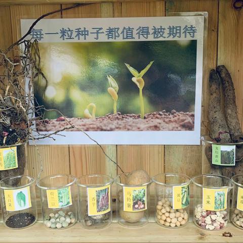 以梦为马，不负韶华——武江区龙归镇中心小学青年教师教研系列活动