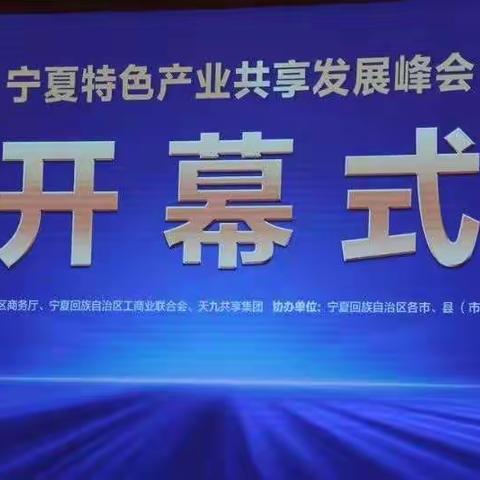 宁夏特色产业共享发展峰会在银举行