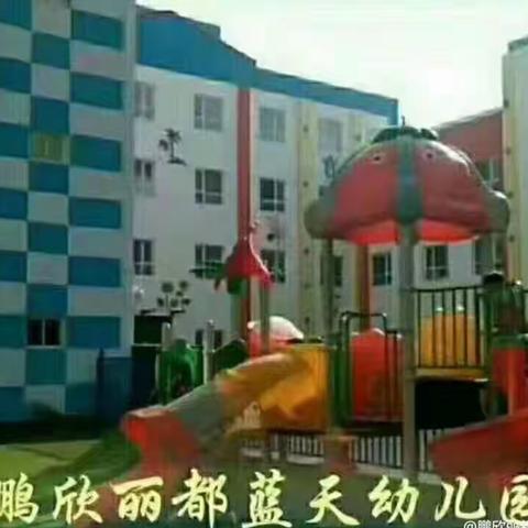 我就是我的美篇