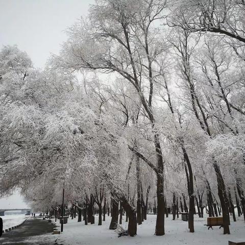 春雪