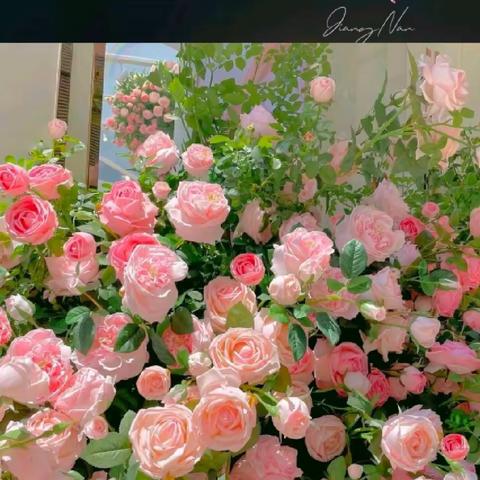 《从心开始，共同成长》艾妮宝贝幼儿园云朵班