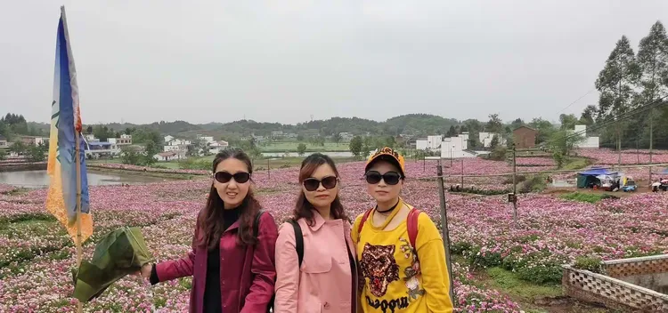 芍药价格多少钱一斤2019年
