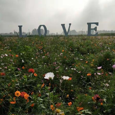 美丽乡村梁家营