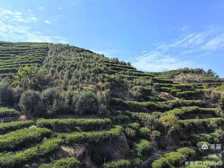 三饶天气预报 三饶天气预报