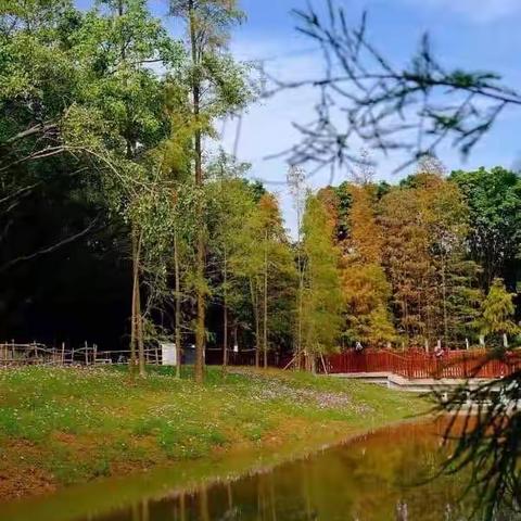 闽作家：美动心弦