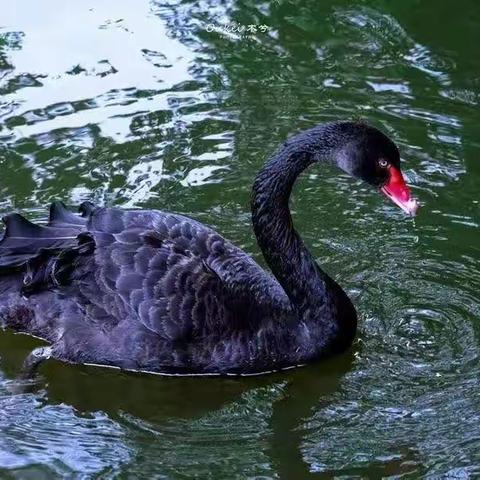 闽作家：冬日絮语